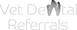 Pet Dental Treatment in Dublin and Kildare